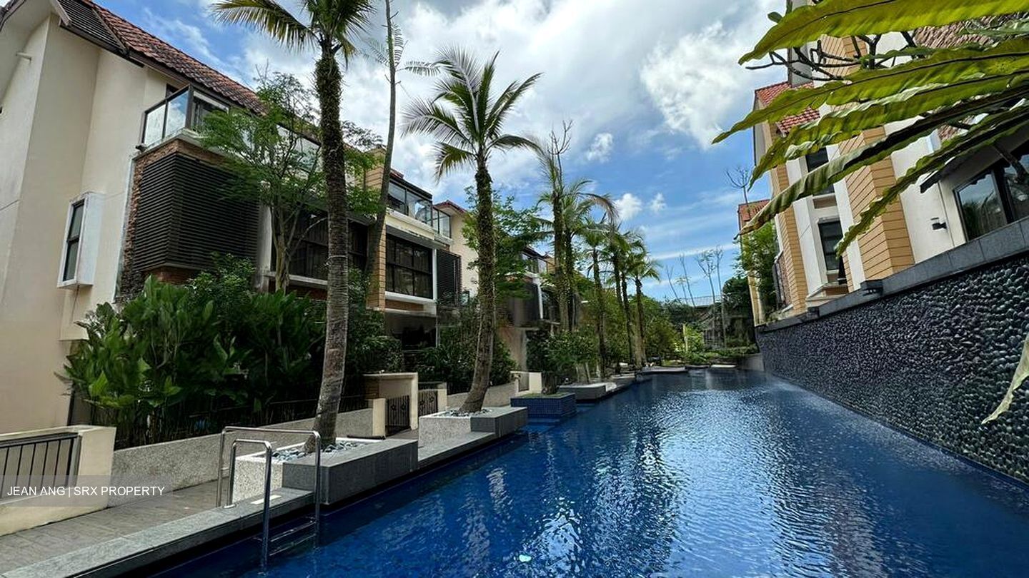 Holland Link (D10), Terrace #498939141